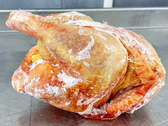 Frozen Lagoon Chicken