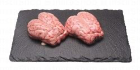 Chilled Sheep or Mutton Brain